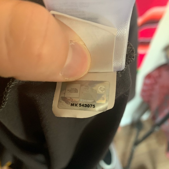 The North Face Fine Alpine Equipment Shirt Gray - Picture 3 of 5